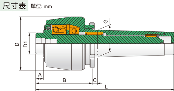 TSC-65.jpg